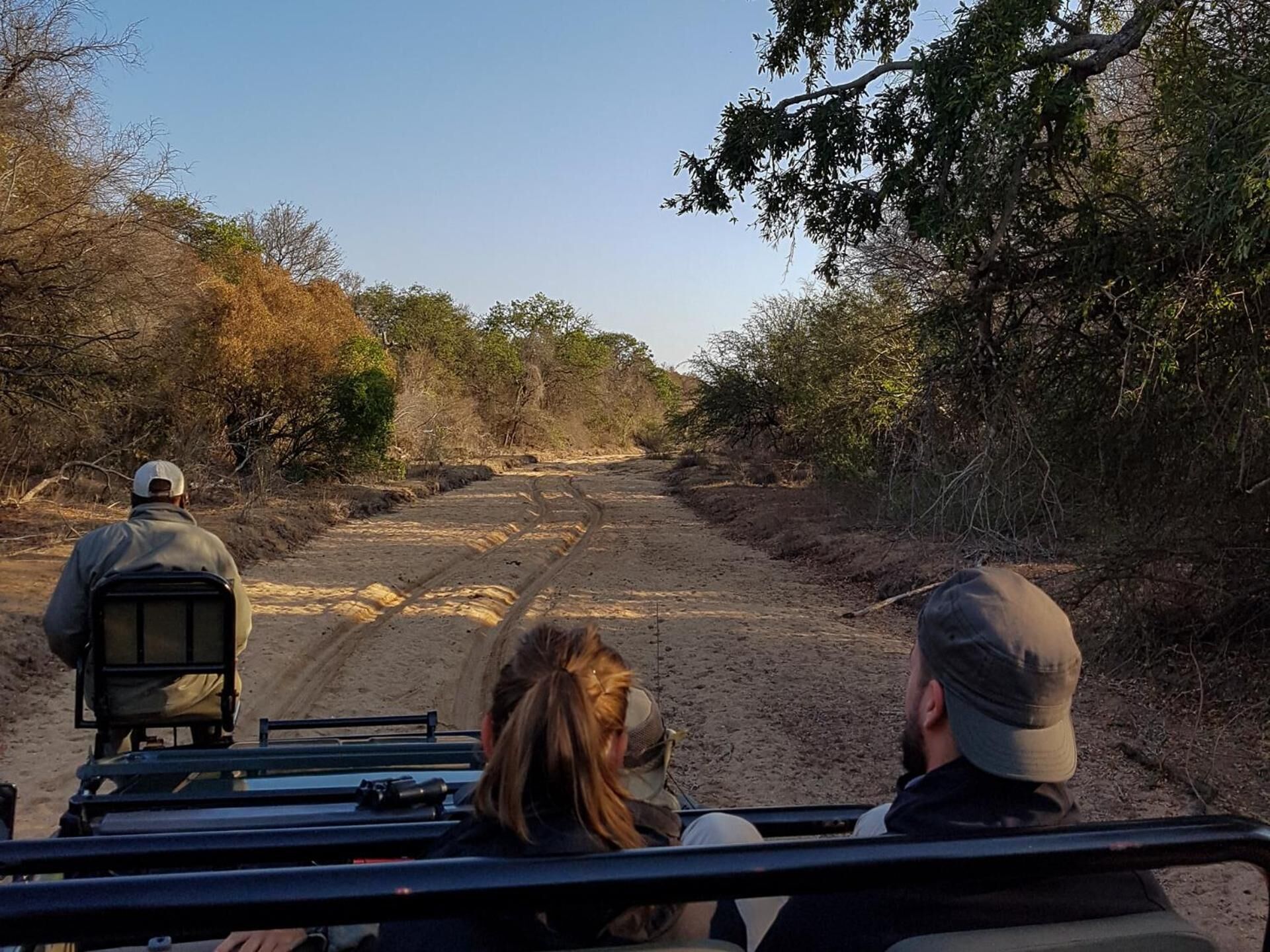 A vehicle on a dirt road with passengers, surrounded by dry vegetation and trees.