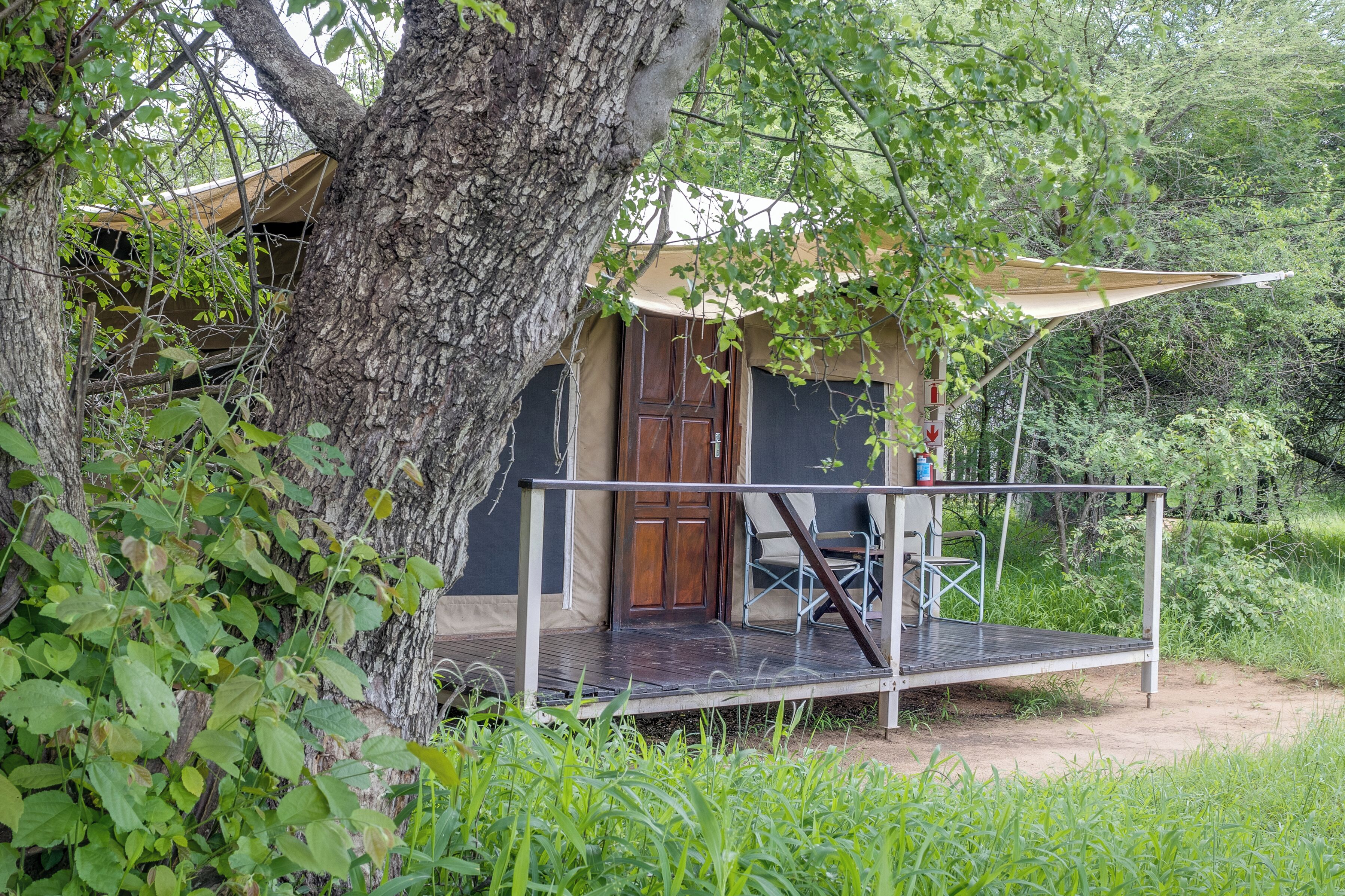 Una casa en árbol con puerta de madera, una pequeña terraza y una silla.