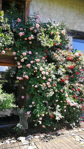 La Ferme Bonne de la Grotte