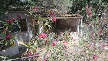 Bungalow - 2 soveværelser | Terrasse/gårdhave