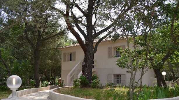 A building with a stone pathway leading to a door, surrounded by trees and greenery.