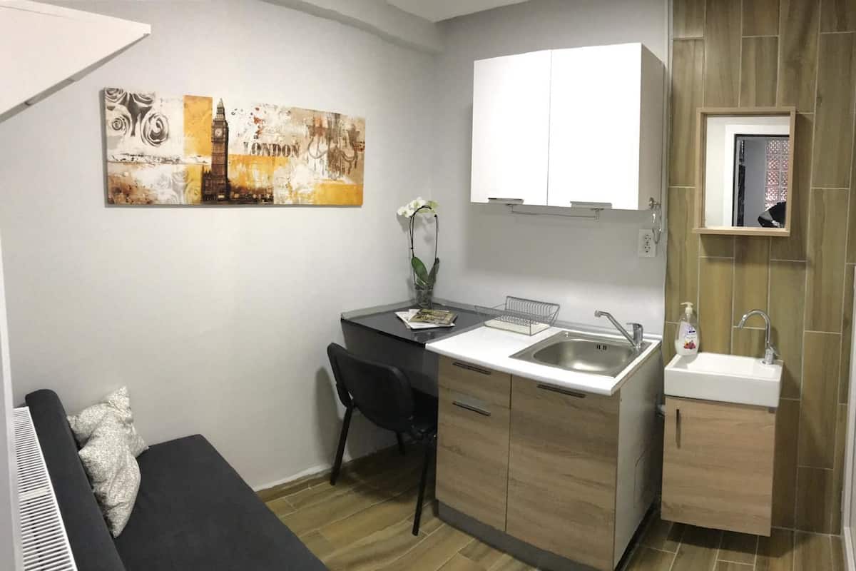 Economy Apartment | Soundproofing, iron/ironing board (on request), WiFi (free), bed sheets