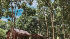 A wooden cabin with a porch and a thatched roof, surrounded by dense trees and greenery. - Ariya Resort (Koh Rong)