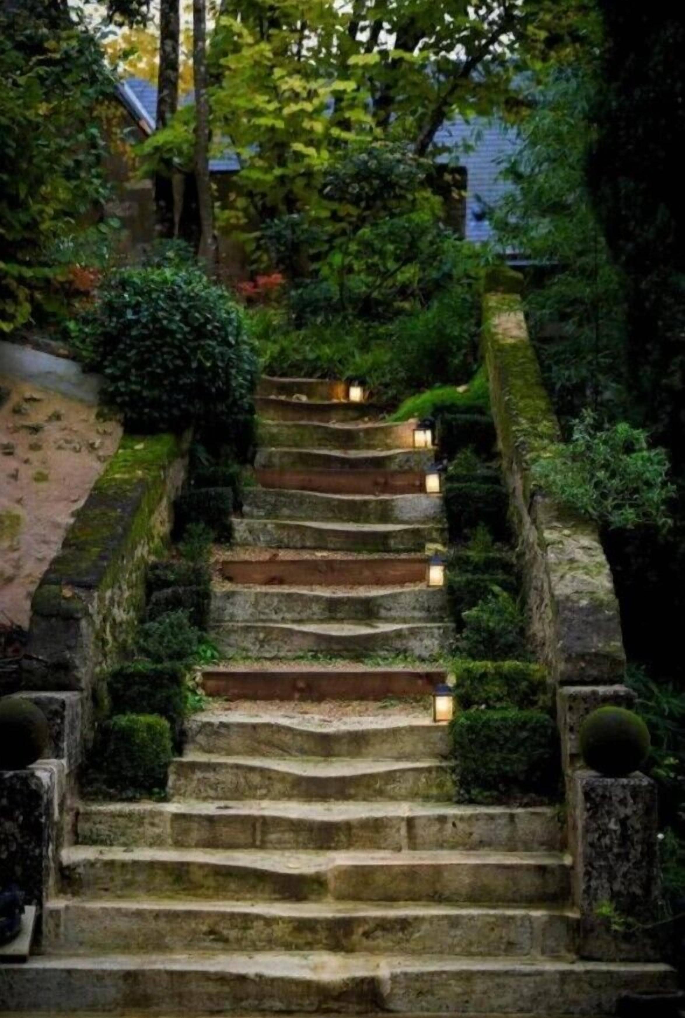 A stone staircase surrounded by lush greenery, leading up to a building.