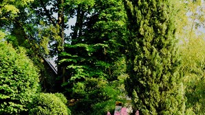 A stone staircase surrounded by lush greenery and flowering plants. - Le Gaimont (Vouvray)