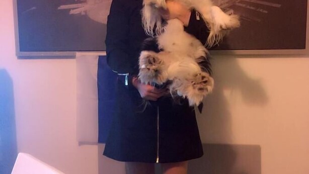 내부