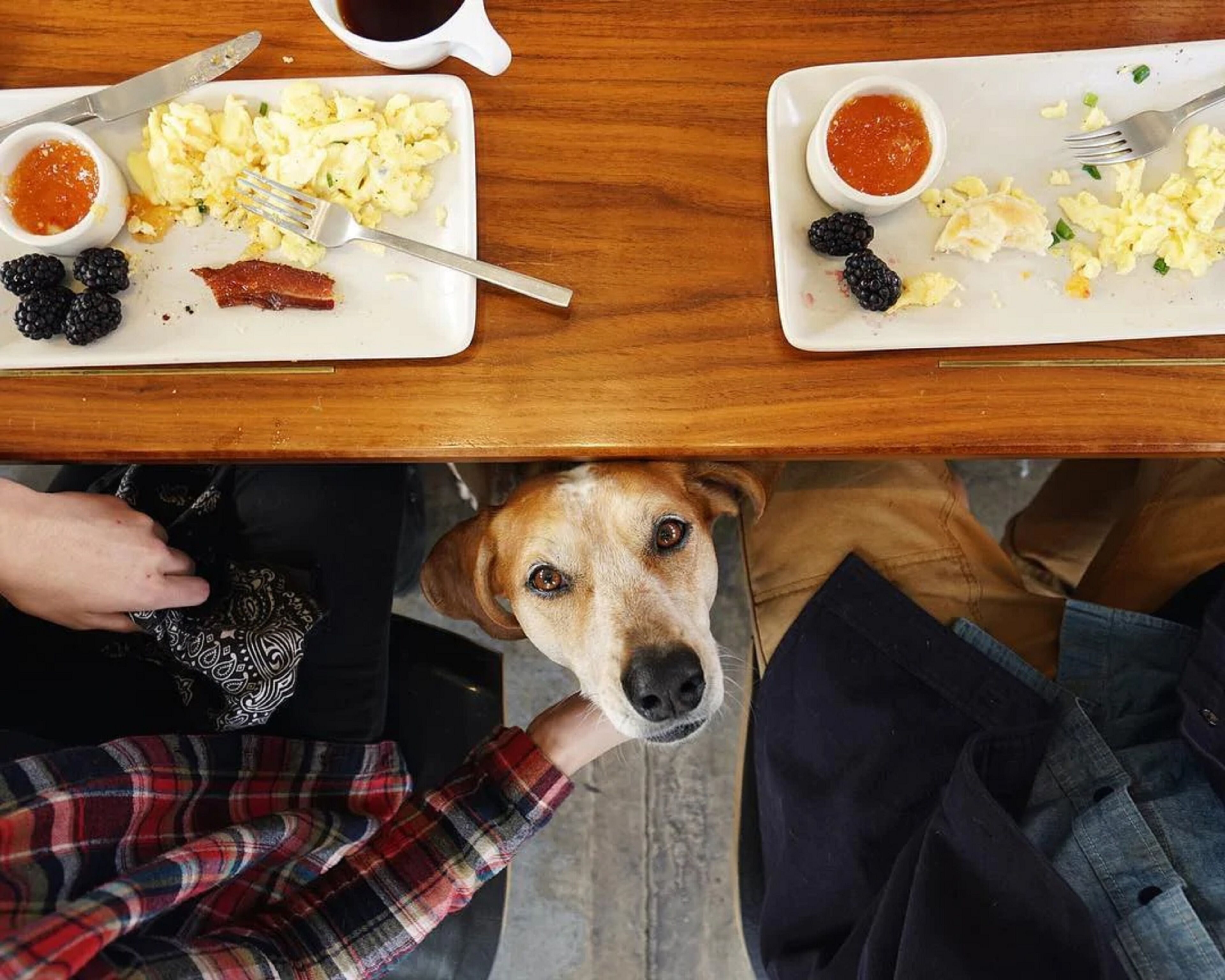 A dining table with two plates of scrambled eggs, blackberries, and a small bowl of sauce.