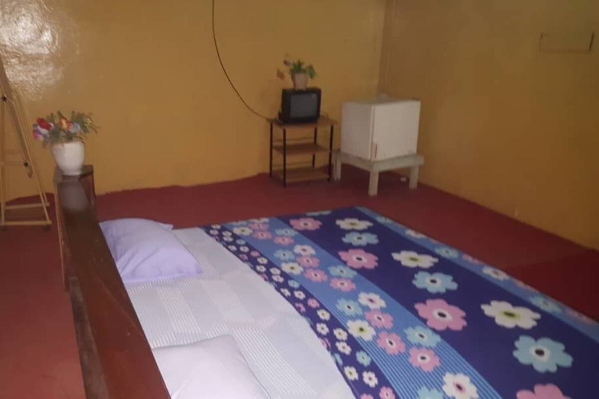 Un dormitorio con una cama, un televisor pequeño sobre un soporte, un armario y una planta.