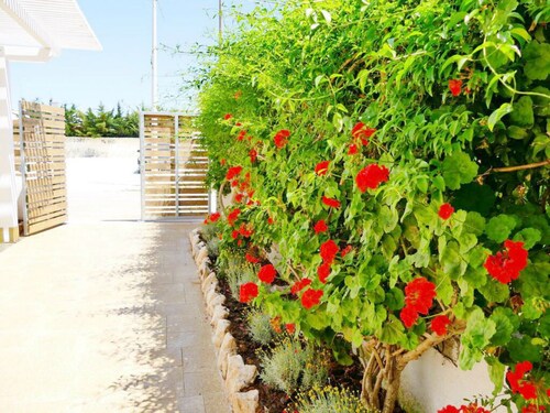 Punta Prosciutto Bed