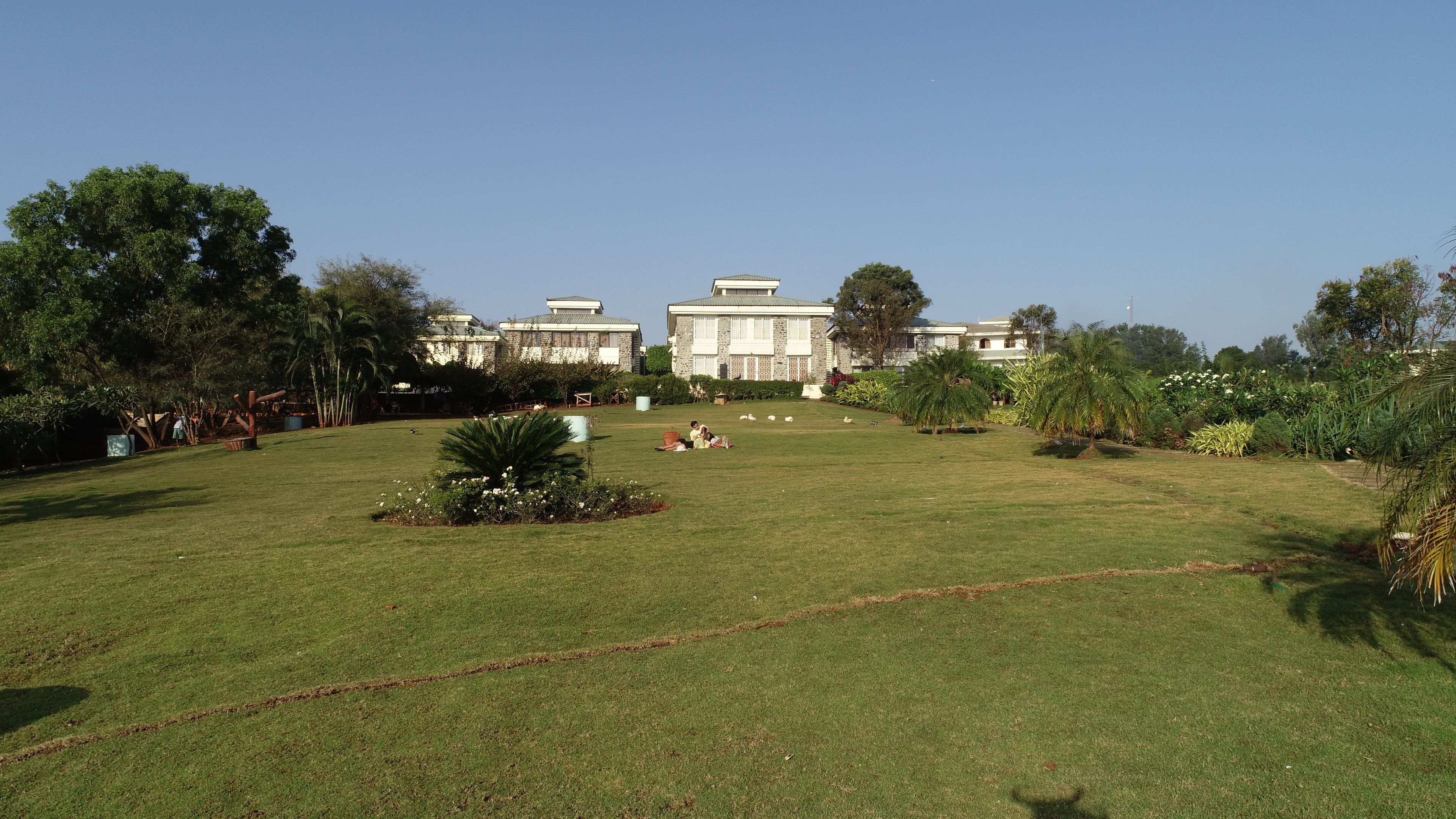 A spacious grassy lawn with a few people and sheep, surrounded by trees and a large building with a traditional architectural style.