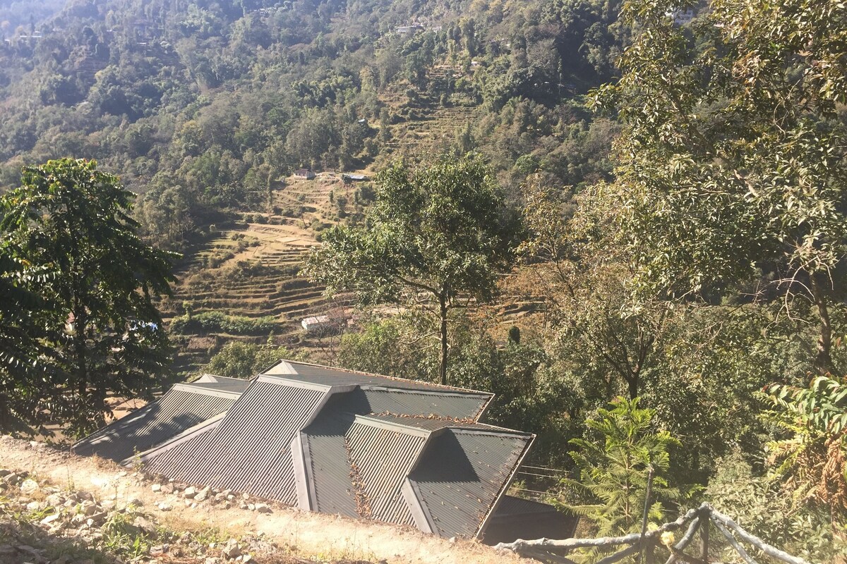 Paisaje rural con campos en terrazas y algunos edificios.