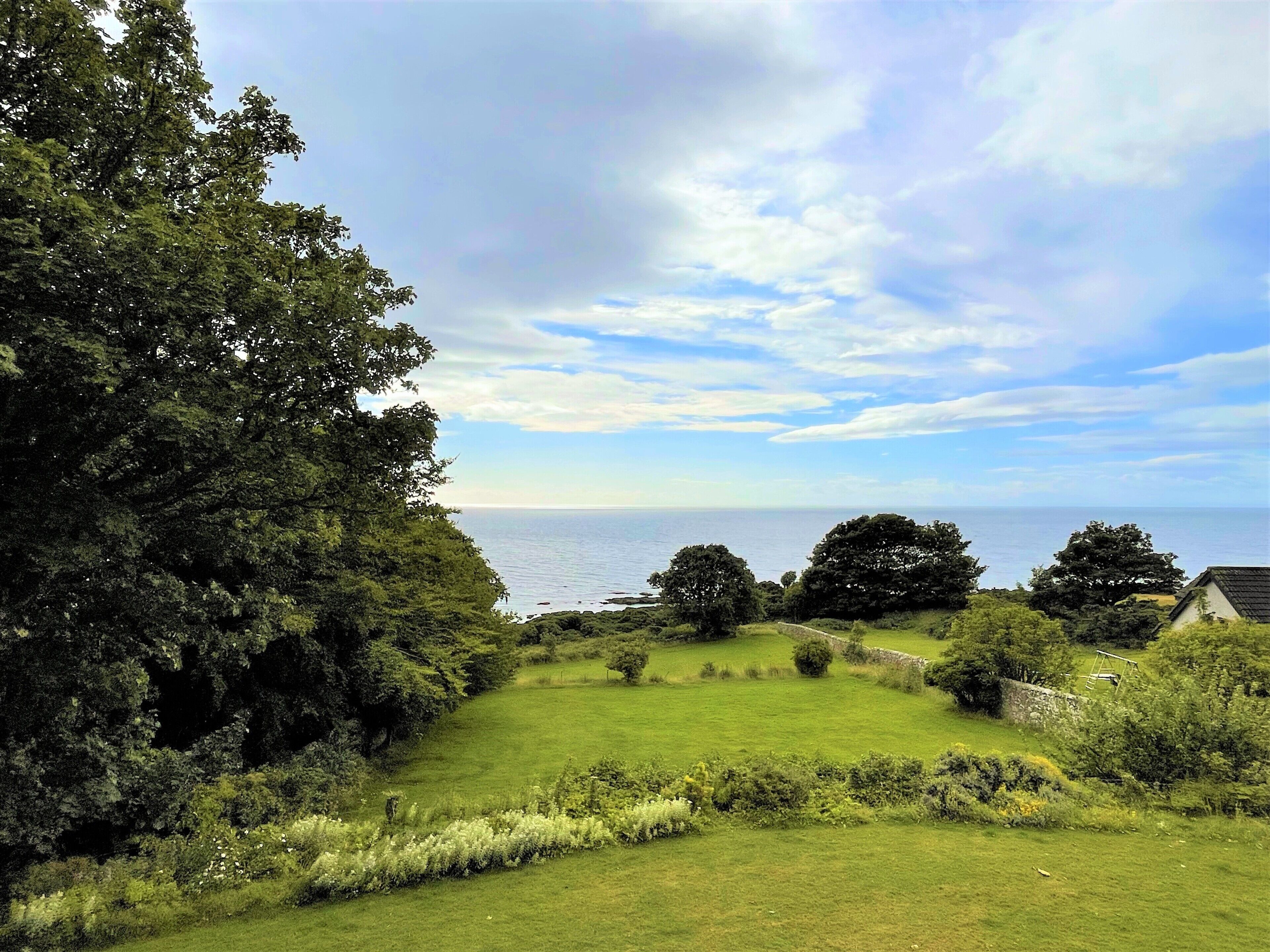 deluxe room | beach/ocean view