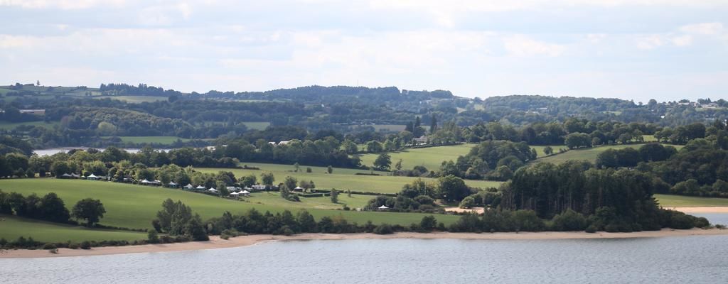 A lakeside view with rolling hills, a sandy beach, and scattered trees.
