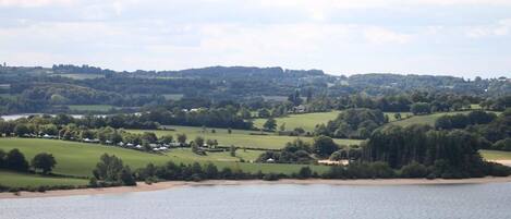 A lakeside view with rolling hills, a sandy beach, and scattered trees.
