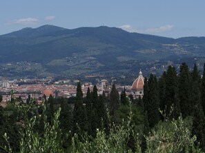 A panoramic view of a city with a prominent dome and surrounding hills.