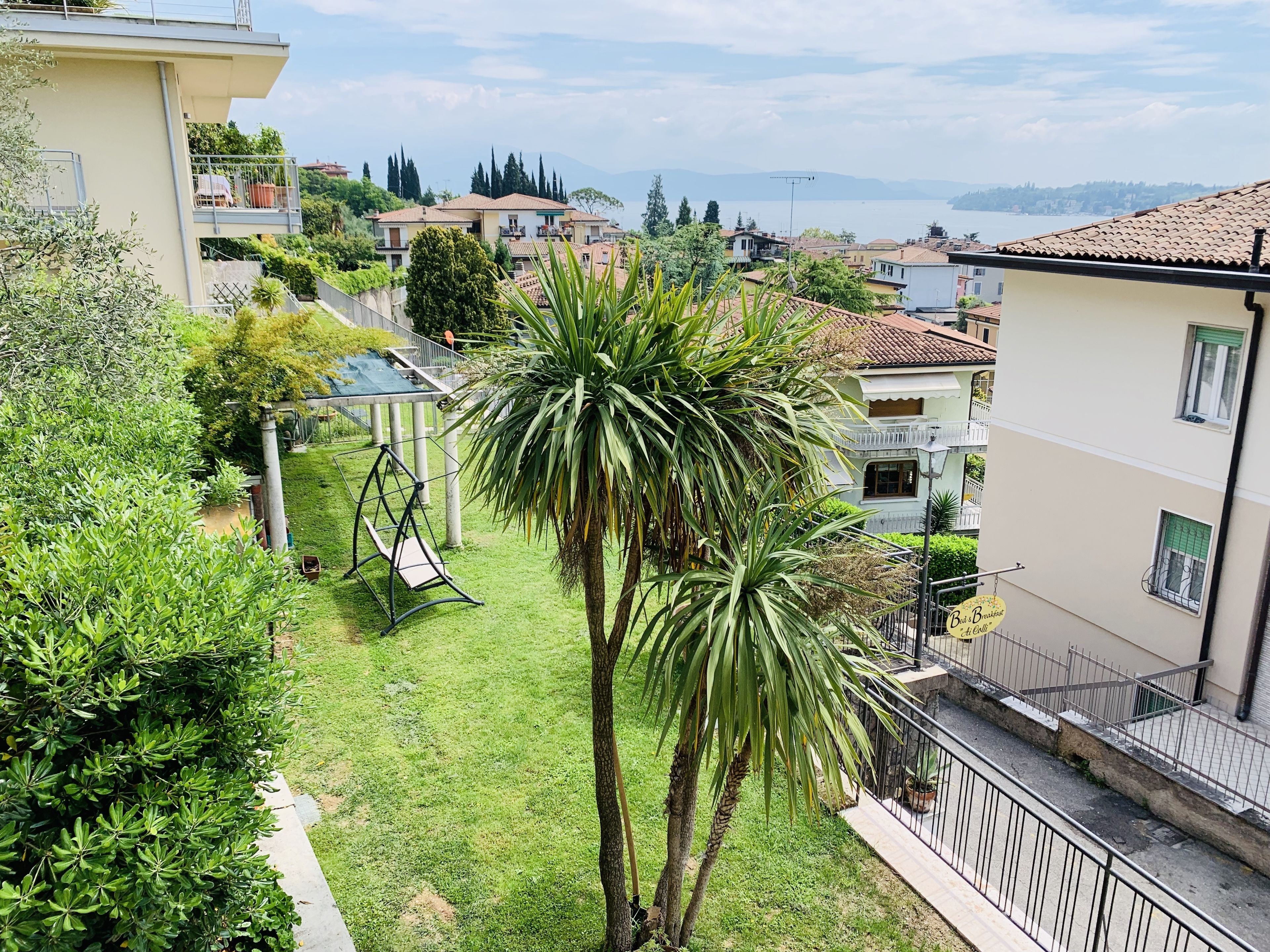 A residential area with a grassy yard, a swing set, and a palm tree.