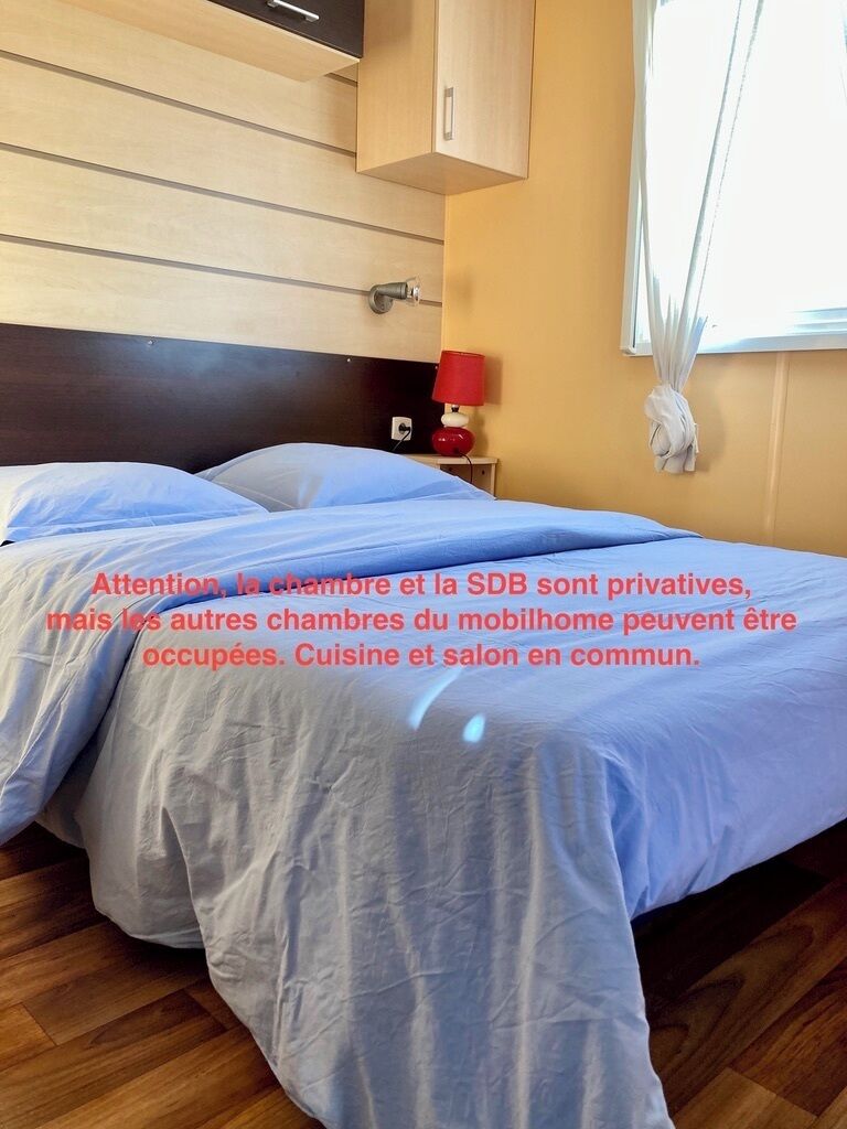 Dilengkapi dengan perabotan berbeda-beda dan tirai kedap cahaya