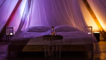 Tienda de campaña básica, 1 cama Queen size, vista al jardín | 1 habitación, tabla de planchar con plancha y wifi gratis