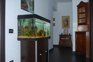 Detall de l'interior