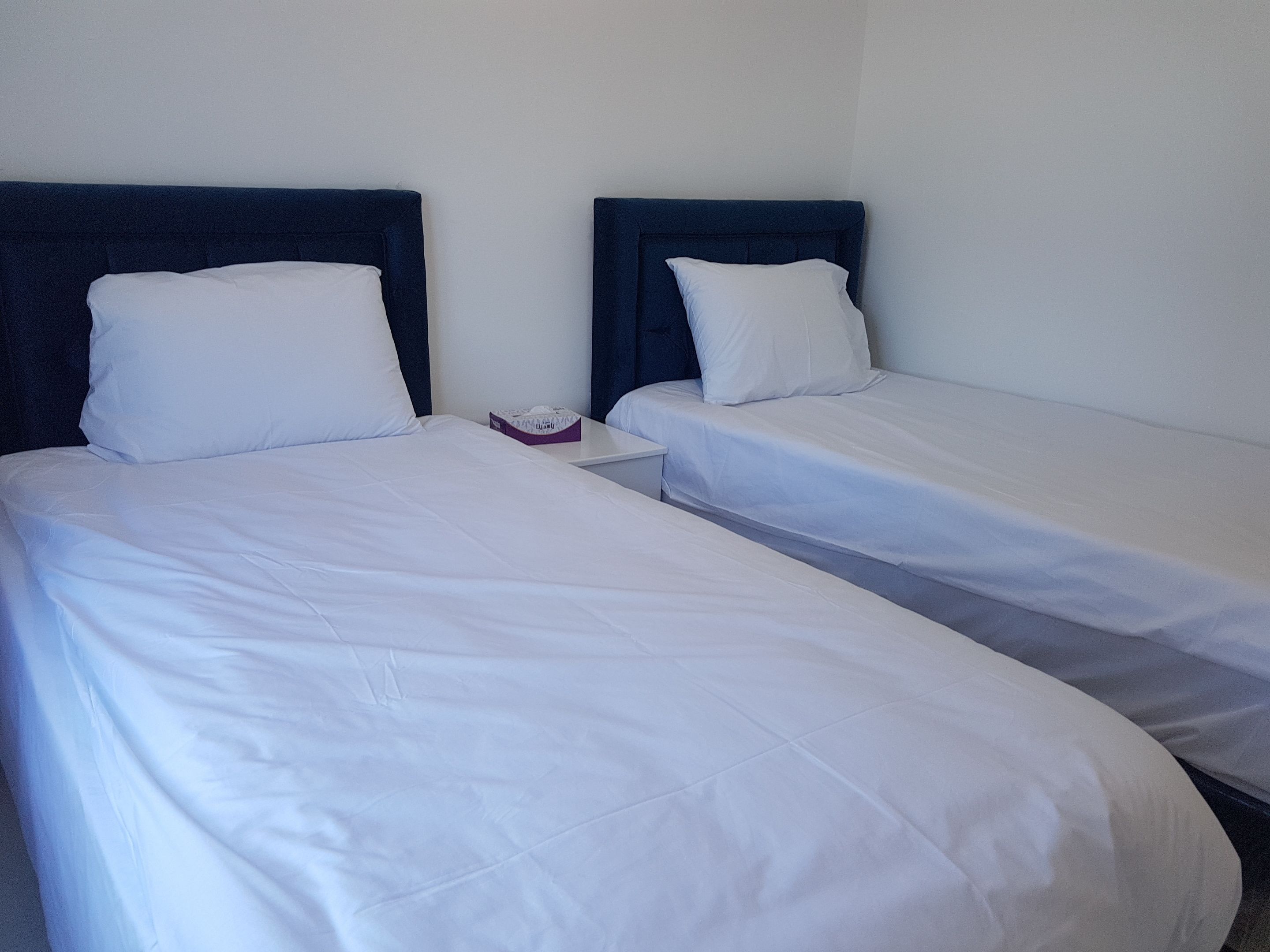 Dos camas individuales con ropa blanca y cabeceros oscuros en una habitación con paredes lisas.