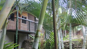 A wooden building with a balcony, surrounded by lush greenery and palm trees. - Hotel Gil Town (Poptun)