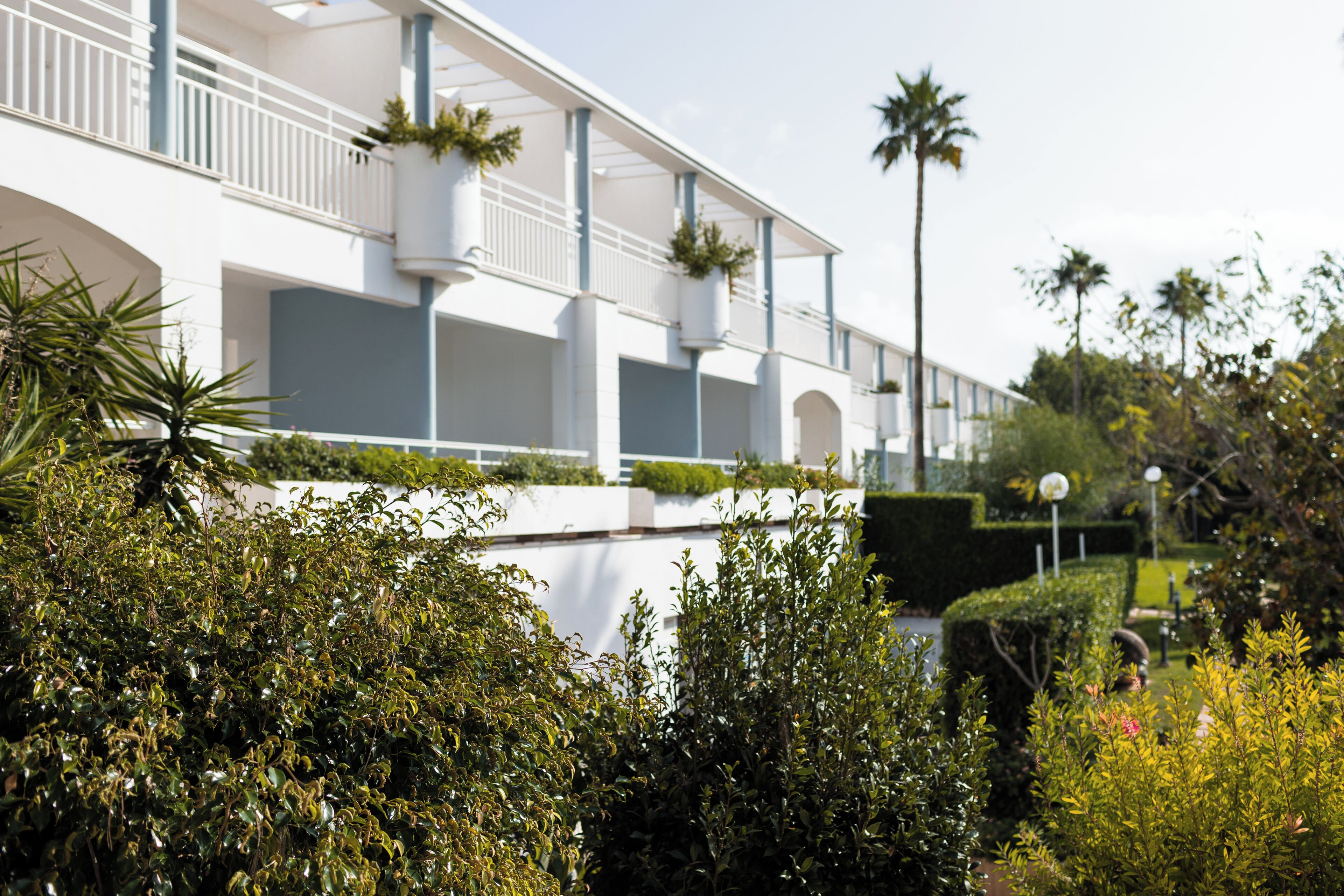 Foto - Sagitario Princesa Playa