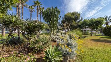 Jardin