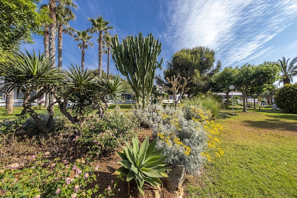 Jardin
