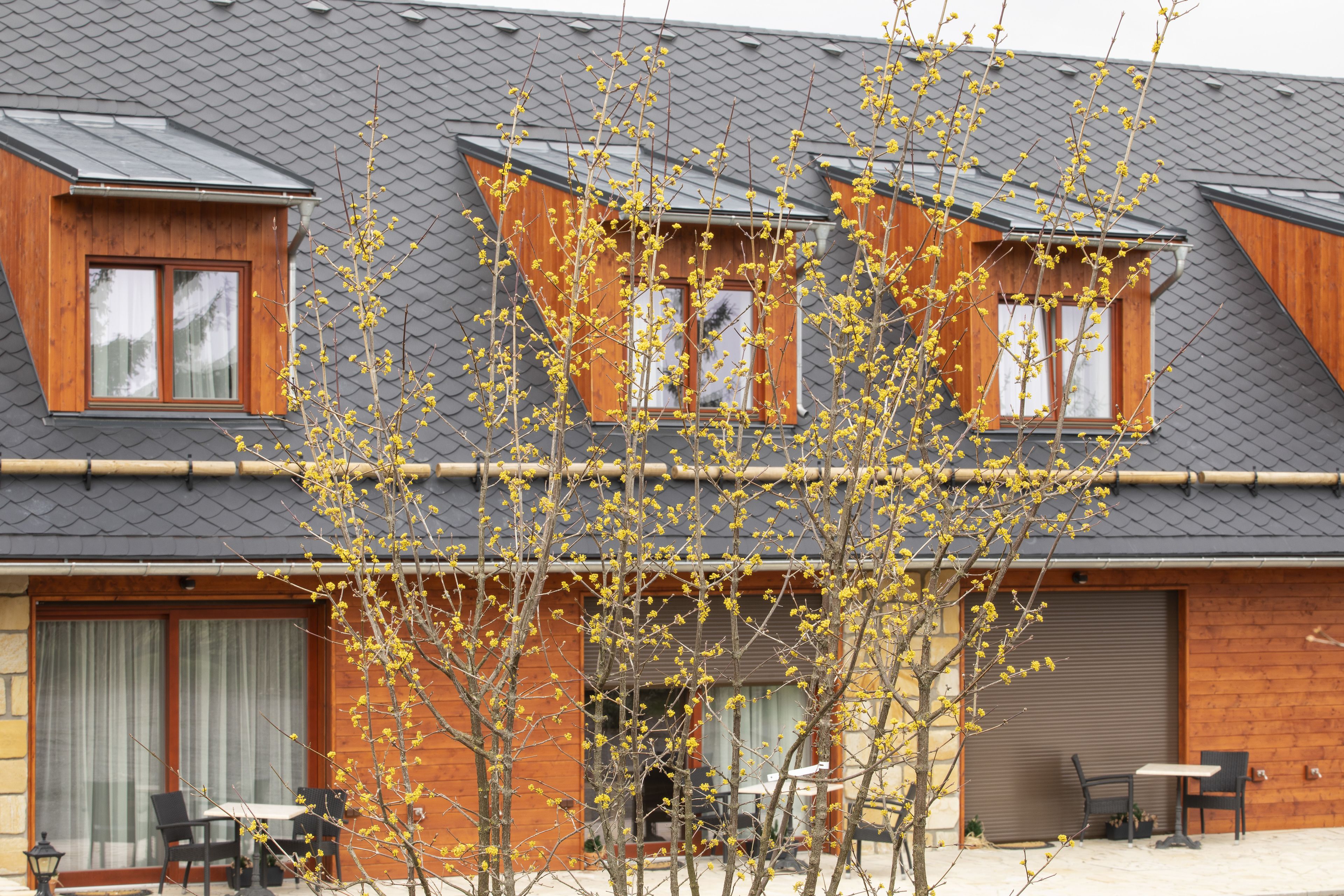 المنشأة من الخارج