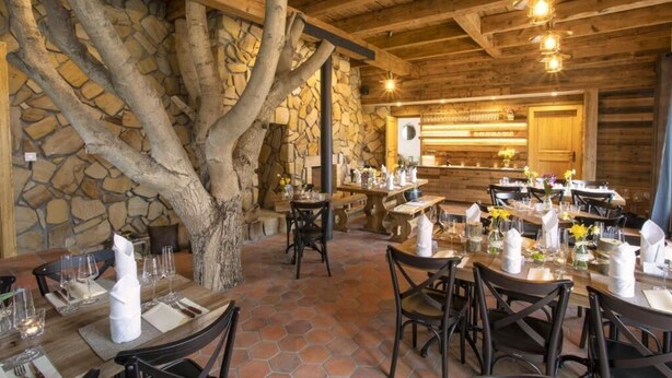 Un comedor rústico con mesas y sillas de madera, paredes de piedra y un tronco de árbol grande como elemento central.