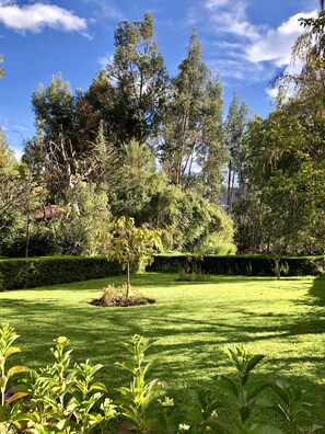 Deluxe-rum - 1 dubbelsäng - utsikt mot trädgården | Utsikt från rummet