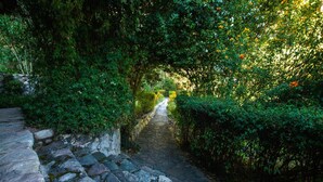 A stone pathway flanked by dense greenery and a stone wall.