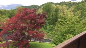 A view from a balcony with a wooden railing, overlooking a grassy area with trees, some with red leaves, and a mountain range in the background. - Bed & Breakfast La Pecora Nera (Belluno)