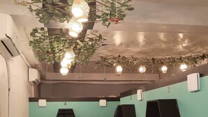 A room with a green wall, a staircase, and a ceiling with hanging plants and lights.