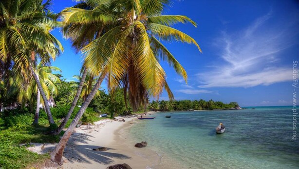 Une plage avec une eau turquoise et limpide, des palmiers et une personne portant un t-shirt rouge.