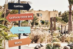 Unclassified image, 3 of 28, button - Cook's Club El Gouna (El Gouna)