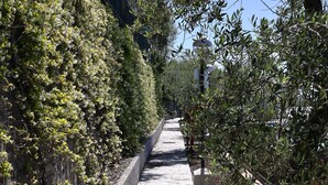 A narrow stone pathway flanked by dense foliage and a building in the background. - Parco Vacanze Lo Scoglio (Lavagna)