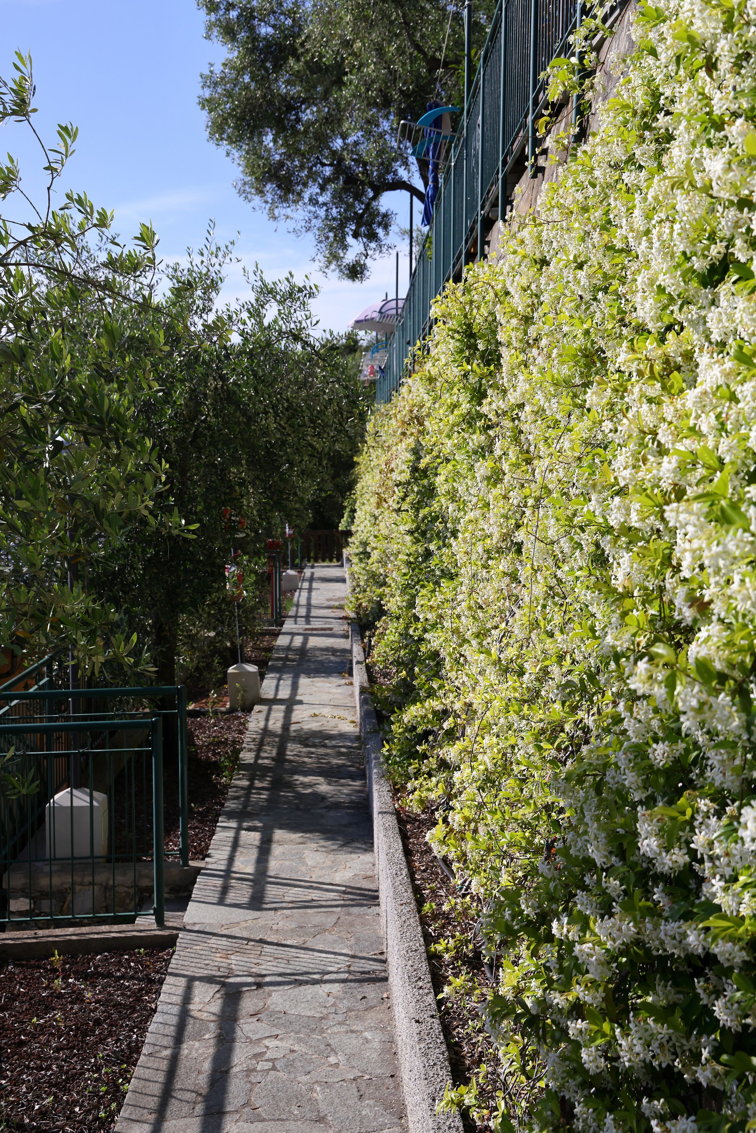 A pathway flanked by lush greenery and flowering plants, leading to a building with a green metal railing.