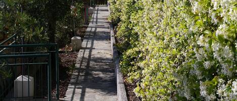A pathway flanked by lush greenery and flowering plants, leading to a building with a green metal railing.
