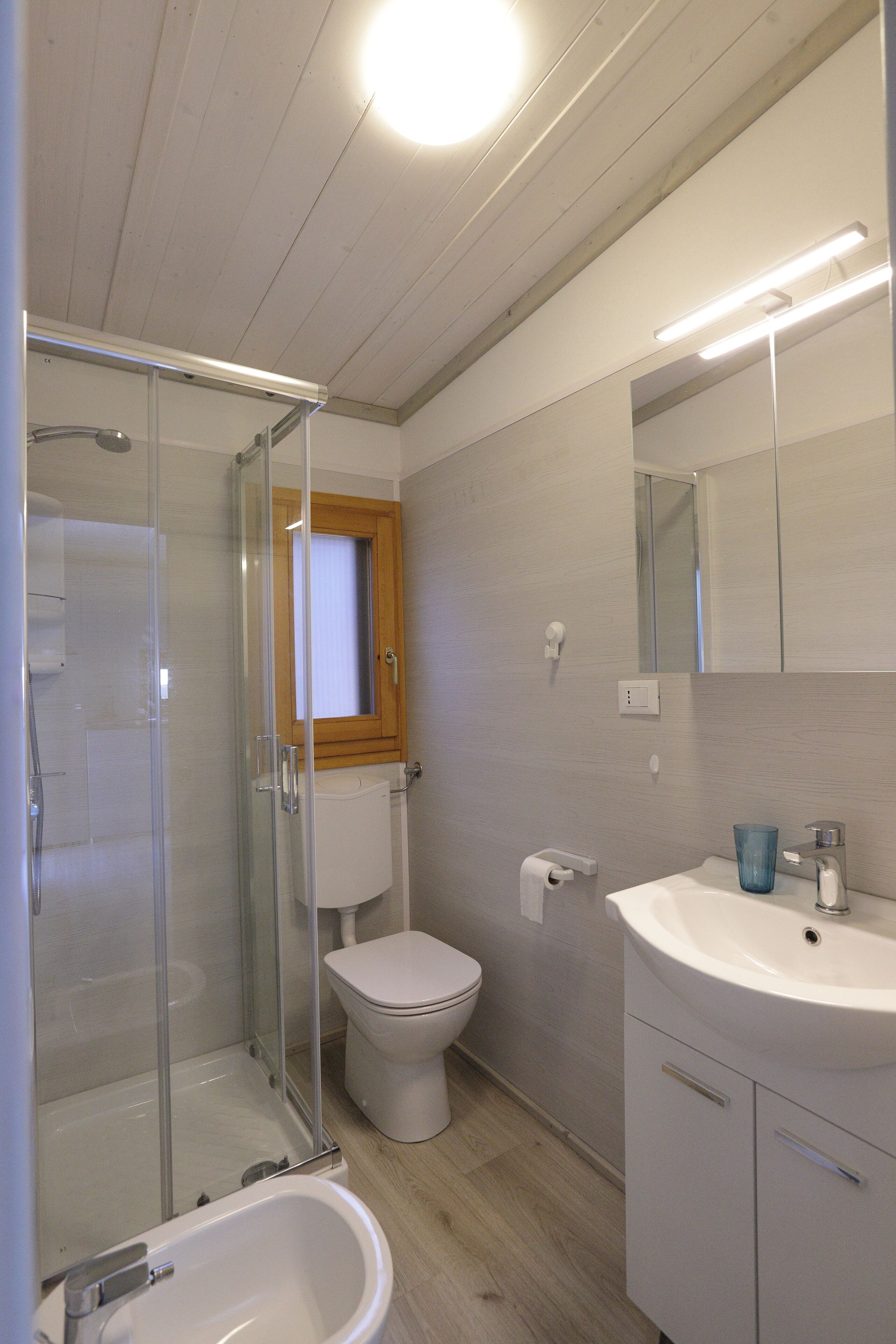Une salle de bain avec une douche à parois de verre, des toilettes, un lavabo et un miroir.