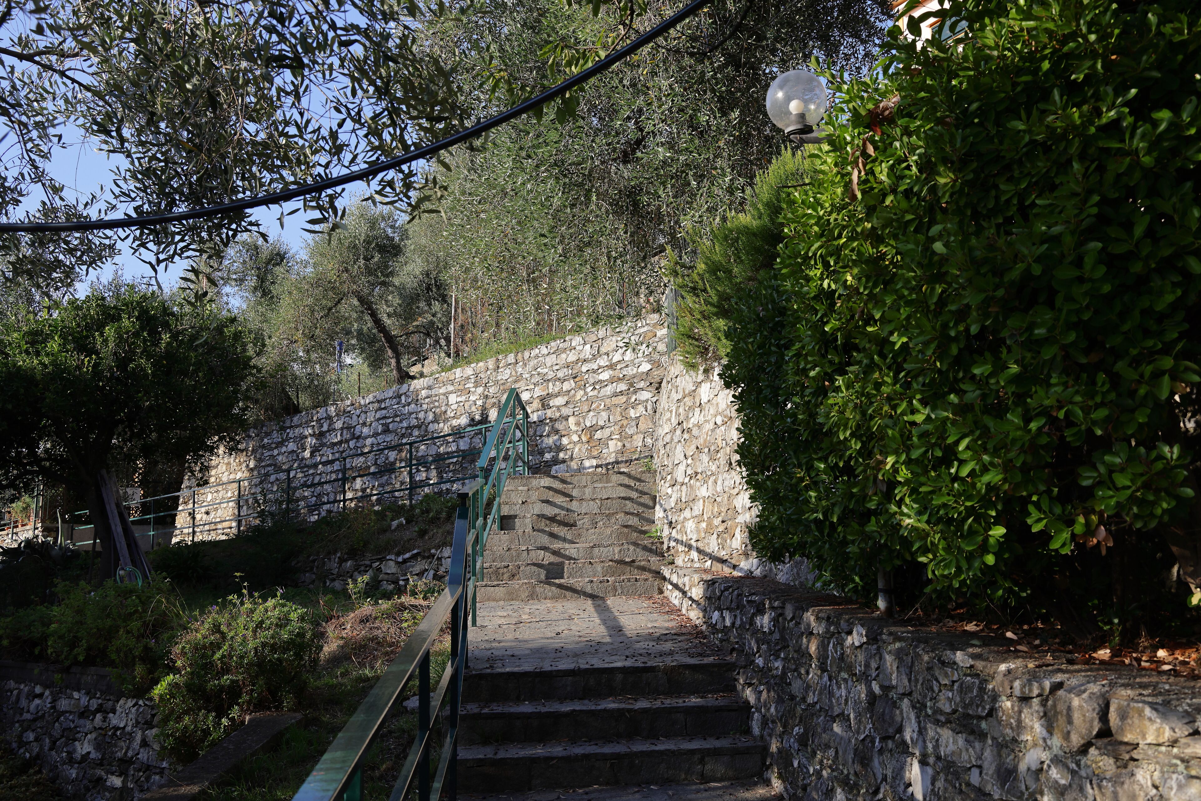 Una escalera de piedra que asciende por una colina, rodeada de vegetación y árboles.