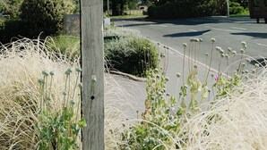 Exterior - The Beach House (Chichester)