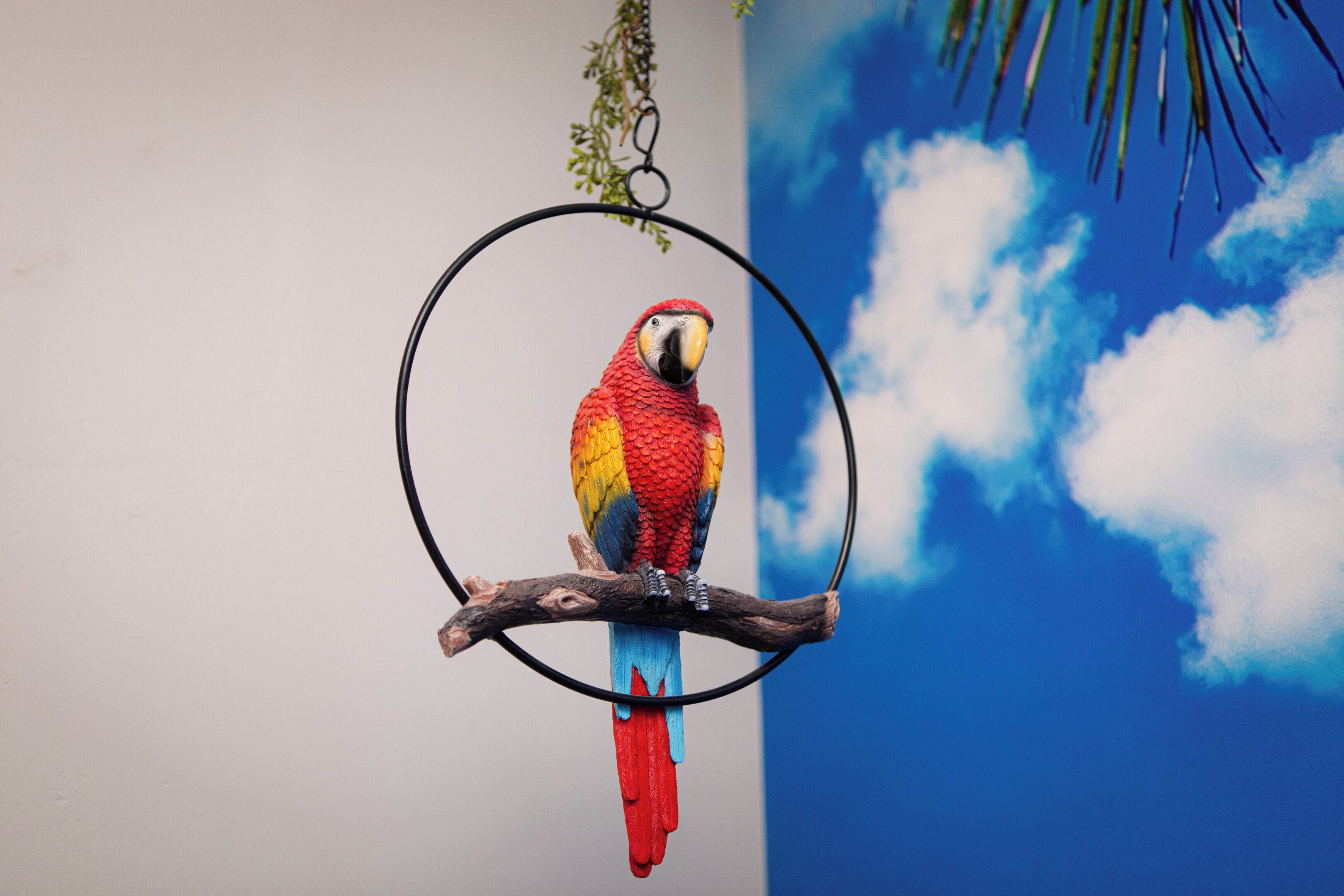Un perroquet aux couleurs vives était perché sur une branche à l’intérieur d’une cage circulaire.