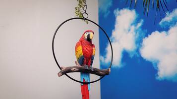 Un perroquet aux couleurs vives était perché sur une branche à l’intérieur d’une cage circulaire.