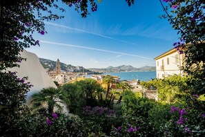 Vistas desde el alojamiento