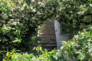 Property grounds - Villa la Bouganville (Gaeta)