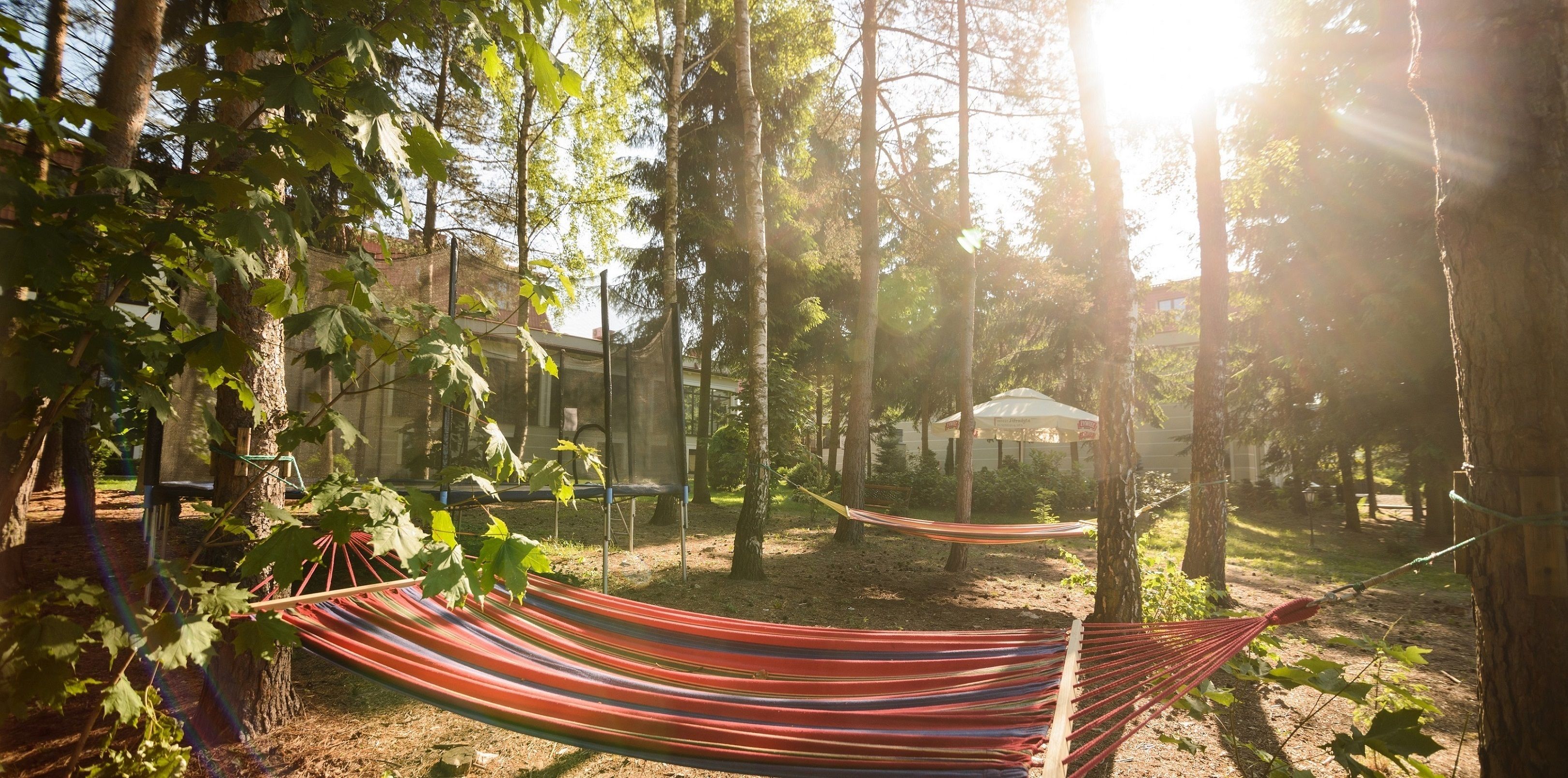 A hammock in a wooded area with a building in the background.