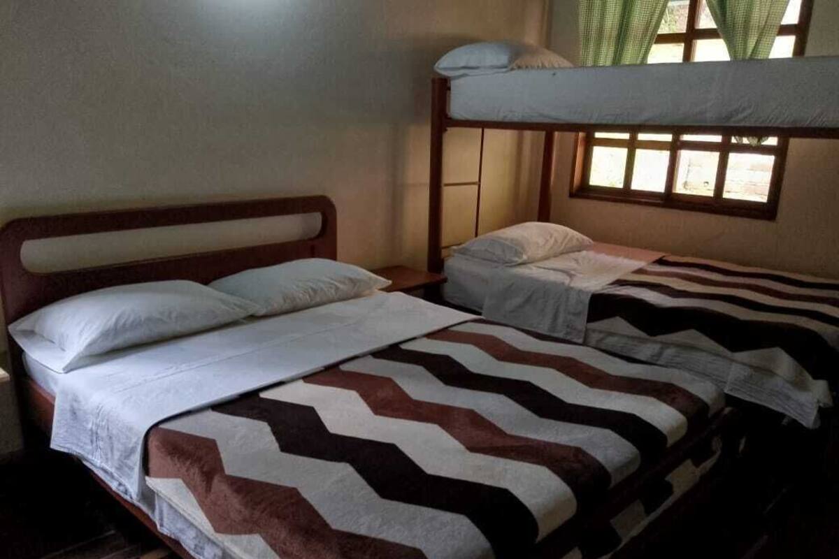 A room with two bunk beds, one with a wooden headboard and the other with a metal frame. There is a window with green curtains and a view of the outside.