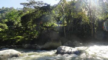 Un río con rápidos, rodeado de un bosque denso y rocas.