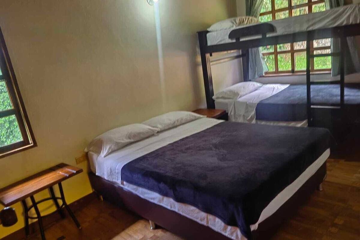 A room with two bunk beds, a wooden bench, and a window with a view of greenery.